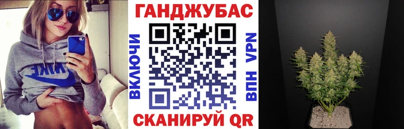 Канабис планчик  Сенгилей 